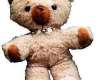 Alles über Teddylein